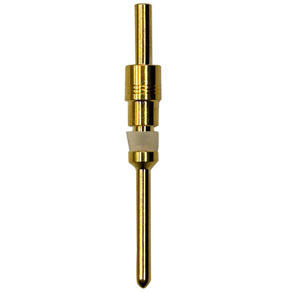 C42000400504G